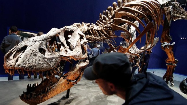 Ilmuwan Akhirnya Tahu Alasan T-Rex Tangannya Kecil Walau Kepala Besar